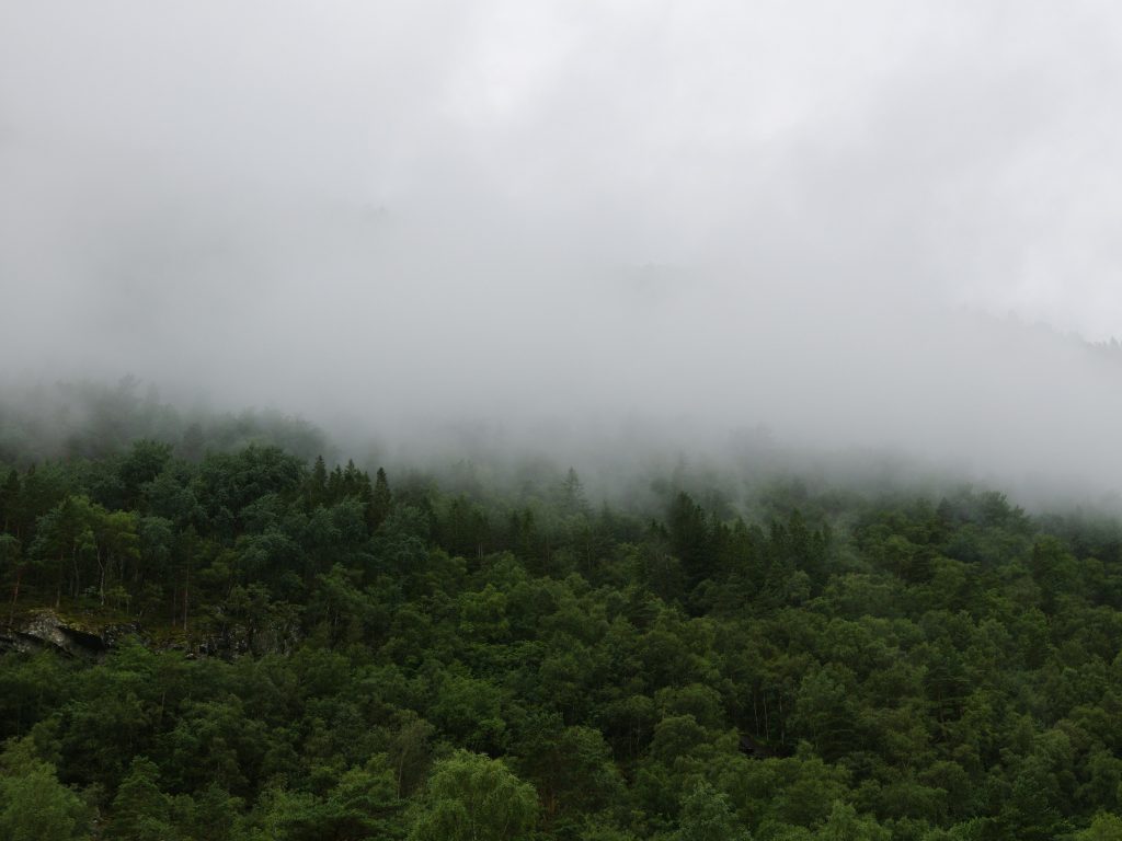 伍富橋與妻子梁兆楹的浪漫旅程與婚姻挑戰